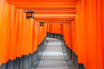 Kyoto, Japan at Fushimi Inari