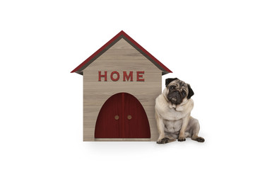 cheeky pug puppy dog sitting down next to dog house with sign Home, isolated on white background