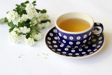 Blue dotted ceramic saucer and cup with green tea on white background with white little flowers.