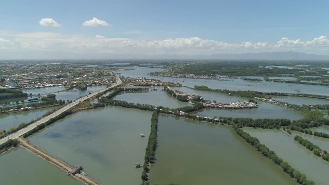 Town in cultivated mangroves, Ubagan, sto tomas. Fish farm with cages for fish and shrimp in the Philippines, Luzon. Aerial view of fish ponds for bangus, milkfish. Fish cage for tilapia, milkfish