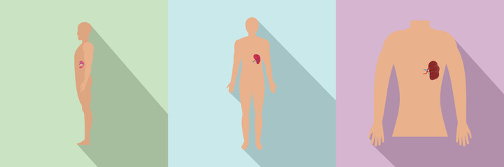 Spleen milt human anatomy icons set. Flat illustration of 3 spleen milt human anatomy vector icons for web