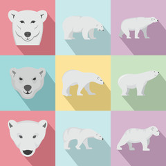 Polar bear baby white icons set. Flat illustration of 9 polar bear baby white vector icons for web