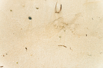 Yellow beach sand with foot prints, plants, and pebble