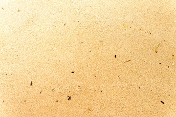 Yellow sea sand with small parts of sea plants background