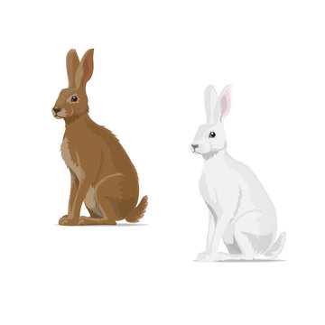 Rabbit hare vector animal flat icon