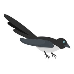 Curious magpie icon. Flat illustration of curious magpie vector icon for web