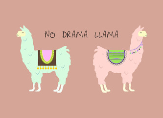 NO DRAMA LLAMA © Kaja