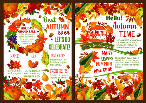 Autumn pumpkin, fruit and berry harvest poster