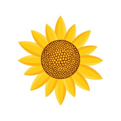 Sunny plant icon. Flat illustration of Sunny plant vector icon for web