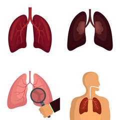 Lung organ human breathing icons set. Flat illustration of 4 lung organ human breathing vector icons isolated on white