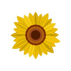 Bright sunflower icon. Flat illustration of bright sunflower vector icon for web