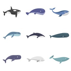Whale blue tale fish icons set. Flat illustration of 9 whale blue tale fish vector icons isolated on white