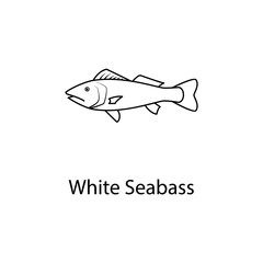 white seabass icon. Element of marine life for mobile concept and web apps. Thin line white seabass icon can be used for web and mobile. Premium icon