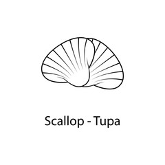 scallop tupa icon. Element of marine life for mobile concept and web apps. Thin line scallop tupa icon can be used for web and mobile. Premium icon