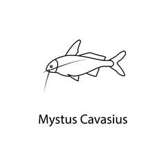 mystus cavasius icon. Element of marine life for mobile concept and web apps. Thin line mystus cavasius icon can be used for web and mobile. Premium icon