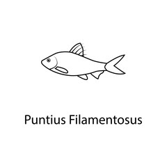 puntius filamentosus icon. Element of marine life for mobile concept and web apps. Thin line puntius filamentosus icon can be used for web and mobile. Premium icon