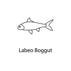 labeo boggut icon. Element of marine life for mobile concept and web apps. Thin line labeo boggut icon can be used for web and mobile. Premium icon