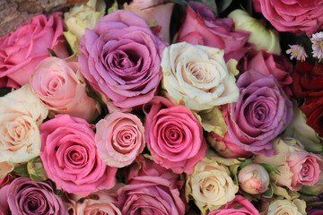 Mixed pink roses