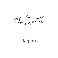 torpon icon. Element of marine life for mobile concept and web apps. Thin line torpon icon can be used for web and mobile. Premium icon