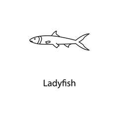 ladyfish icon. Element of marine life for mobile concept and web apps. Thin line ladyfish icon can be used for web and mobile. Premium icon