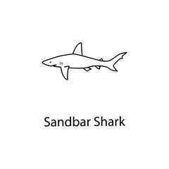 sandbar shark icon. Element of marine life for mobile concept and web apps. Thin line sandbar shark icon can be used for web and mobile. Premium icon