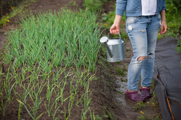 Woman watering plants with watering can in the garden.. Farmer growing vegetables and working in the garden.