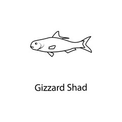 gizzard shad icon. Element of marine life for mobile concept and web apps. Thin line gizzard shad icon can be used for web and mobile. Premium icon