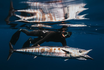 Spearfishing Wahoo Girl