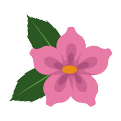 Fototapeta premium Beautiful flower symbol vector illustration graphic design