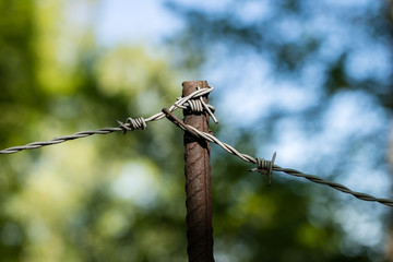 Barbed wire on the fence. Old barbed wire on the fence of an important property.