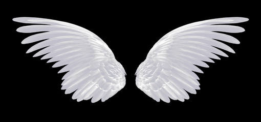 white wings isolated on black background