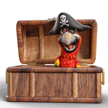 pirate parrot cartoon