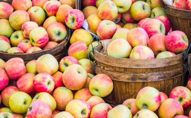 full frame close up of wooden buckets filled with ripe red and green apples at a farmer's market