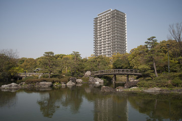 Fototapeta premium bridge over the lake