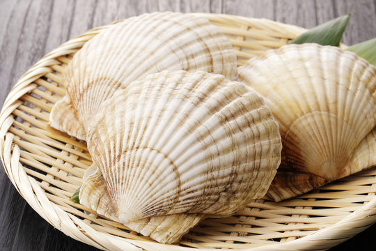 ほたて貝　Scallops