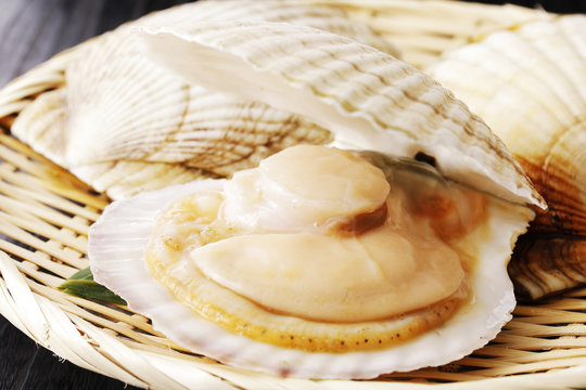 ほたて貝　Scallops