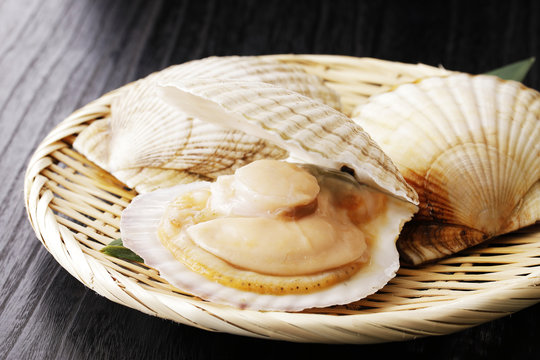 ほたて貝　Scallops