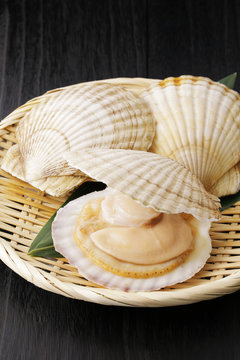ほたて貝　Scallops