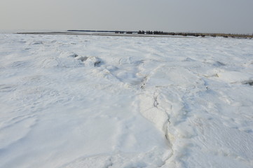 On winter sea ice