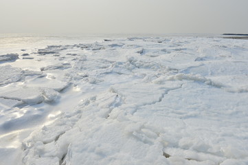 On winter sea ice