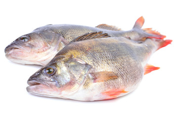 Fish perch