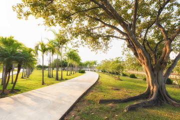 Green garden with jogging track at the park in morning, Walk way at republic  park and garden with trees