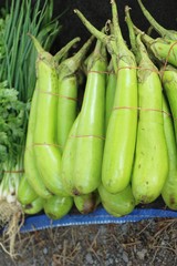 Fresh eggplant green organic at street food
