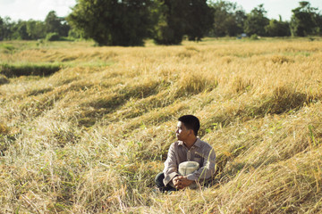 Brown Skin Farmer And His Rice Field 