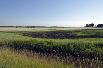 Farm field