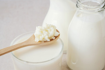 Organic probiotic milk kefir grains, Tibetan mushrooms on wooden spoon and kefir milk in glass containers