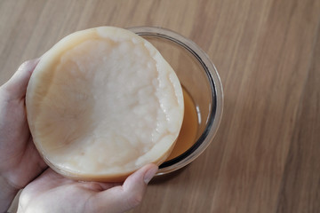 Kombucha mushroom SCOBY, Fermented tea, Probiotic food