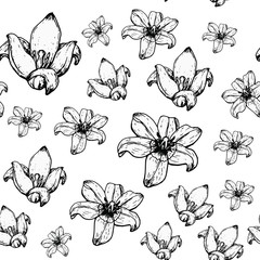 Spring tulips for future design.