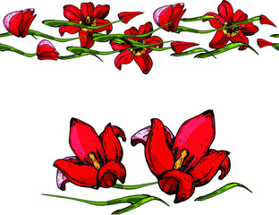 The spring tulips for future design.