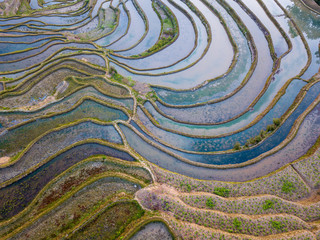 Fototapeta na wymiar Abstract patterns from rice terracers